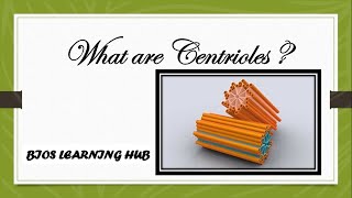 What are centrioles Biology [upl. by Aciruam]