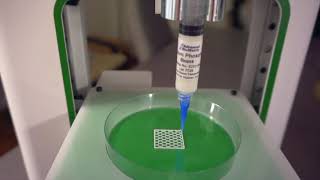 Bioprinting of Bone Scaffold [upl. by Alberta]