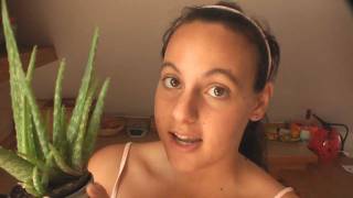 How to Use An Aloe Vera Plant For Skin Care [upl. by Aihceyt]