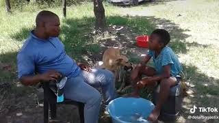 South African Comedy ➡ Amahlaya Esizulu Urgent [upl. by Matheson227]