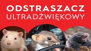 Odstraszacz na kuny myszy i krety  Ultradźwięki [upl. by Dionne]