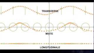 Onde longitudinale et onde transverse [upl. by Careaga]