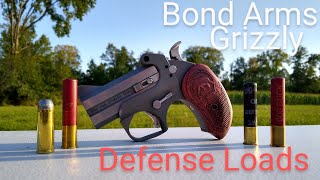 Bond Arms Derringer Self Defense Loads [upl. by Ekaj885]