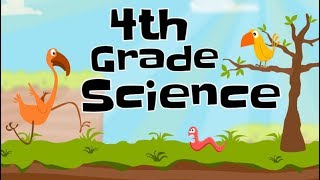 4th Grade Science Compilation [upl. by Hedaza]