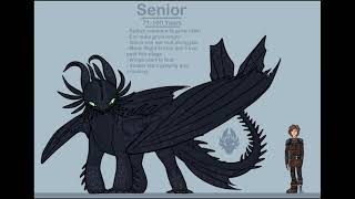 Night Fury Info [upl. by Atauqal235]