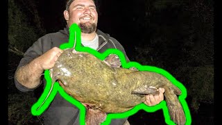 Crappie and BIG Flathead Catfish at Roosevelt Lake [upl. by Eerdna]