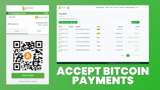 BTCPay Server Accept Bitcoin Payments FREE [upl. by Aehsat]