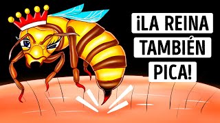 ¿Son más peligrosas las picaduras de la abeja reina Lo hemos descubierto [upl. by Fricke592]