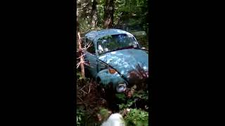 Abandoned car graveyard in the woods [upl. by Renaud]