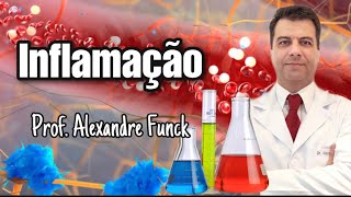 INFLAMAÇÃO  PROF ALEXANDRE FUNCK [upl. by Ivzt]