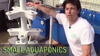 Small Aquaponics System Setup Part 1 [upl. by Docia]