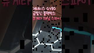 급발진 블랙박스 악셀 브레이크 촬영 전용 1채널 블랙박스 뷰게라 SPY블랙박스 스파이 제네시스 GV80 설치 시공급발진블랙박스뷰게라스파이브레이크블랙박스제네시스급발진블랙박스 [upl. by Sharyl]