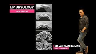 EMBRYOLOGY QUICK RECAP [upl. by Naitsirc]