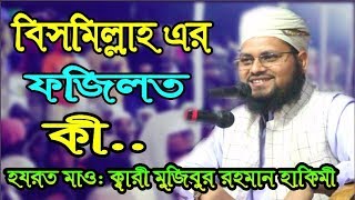 Bismillah Ar Fojilot Ki New Bangla Waz 2019 Mawlana mojibor Rahman Hakimi01747112621 [upl. by Nobie]