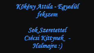 Kökény AttilaEgyedül fekszem [upl. by Cj]