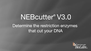 NEBcutter® V30  Determine the restriction enzymes that cut your DNA [upl. by Faux385]