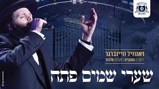 זאנוויל ויינברגר מלכות שערי שמים פתח  Zanvil Weinberger amp Malchus  Shaarei Shomayim  Dirshu [upl. by Him188]