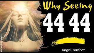 What Does 4444 Mean [upl. by Adnowat]