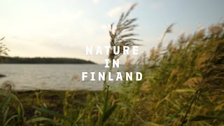 Nature in Finland [upl. by Dauf]