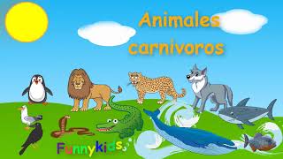 Animales carnívoros para niños [upl. by Annayehc896]