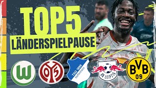 Gewinner amp Überraschungen der Bundesliga im LänderspielpausenCheck [upl. by Benedict]