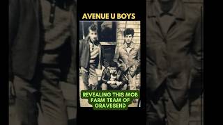 UNVEILING THE AVENUE U BOYS OF GRAVESEND  Mob Farm Team bonannofamily [upl. by Hester]