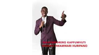 HUVEPO HWAMWARI HURI PANO  MAKOMBORERO KAPFUMVUTI [upl. by Urias]