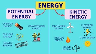 Energy  Forms of Energy  Law of Conservation of Energy  Science Lesson for Kids [upl. by Anaejer849]