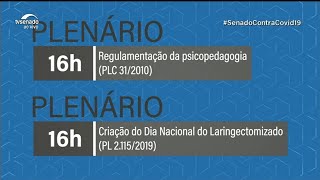 Regulamentação da atividade de psicopedagogia está na pauta do Senado desta quarta [upl. by Zitella]