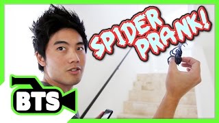 Spider Prank BTS [upl. by Laeynad]