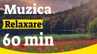 Muzica relaxare a mintii  60 minute de muzică pentru un somn relaxant  Muzica relaxanta [upl. by Deerc394]