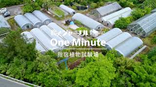 【1分間で鹿児島大学】農学部附属指宿植物試験場（鹿大ジャーナルmovie One Minute [upl. by Binny379]