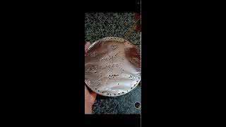 shamzavino Vlogs is live ODD ASMR  VERY SATISFYING FANTASTIC FOIL ASMR SOUND asmr trending foil [upl. by Novick]