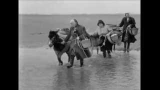 Cockle Gatherers At Penclawdd  1961 [upl. by Orlene248]