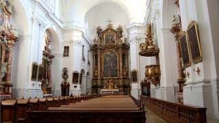 Joseph Haydn  Nicolai Messe [upl. by Norabel399]