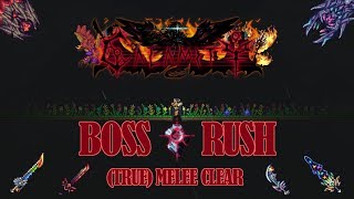 Calamity  Boss Rush True Melee clear 14 update [upl. by Natalya]