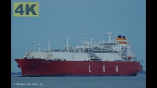 HELLAS ATHINA  Shipspotting Germany 🇩🇪 IMO 9872999  River Elbe near City Otterndorf  4K VIDEO [upl. by Senn]