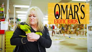 Omars Exotic Birds  A Bird Shop Review But Not Really [upl. by Amor]