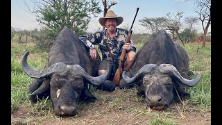 UGANDA Nile Buffalo hunt Safari 2020 Worldwide Trophy Adventures PART 1 [upl. by Tymes]