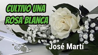 Cultivo una rosa blanca  Jose Martí Cuba  Poema para el Día de la Amistad  Paz  Sinceridad [upl. by Edmanda841]