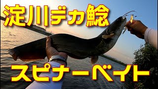 【バス釣り】スピナーベイトでデカナマズ！淀川ナマズ CATFISH [upl. by Wanyen]