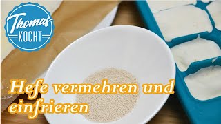 Hefe vermehren und einfrieren  Hefe selber machen  Thomas kocht [upl. by Anawad]