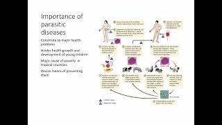 Importance of parasitology [upl. by Ikairik]