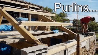 DIY ROOF WHAT ARE PURLINS [upl. by Duquette]