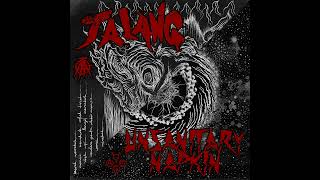 Jalang  Unsanitary Napkin  Split LP [upl. by Reyotal842]