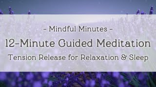 Meditation for Decompression 12 Minutes of Tension Release  Mindful Minutes [upl. by Batholomew]