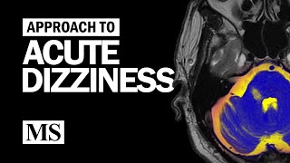 Approach to Acute Dizziness [upl. by Eyssej]