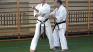 Oscar Higa  ShorinRyu Naihanchi Shodan [upl. by Fawne]