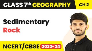 Sedimentary Rock  Inside our Earth  Class 7 Geography [upl. by Lecram]