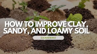 How to Improve Clay Sandy and Loamy Soil [upl. by Itteb]